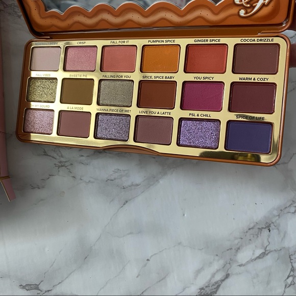 too faced pumpkin spice eyeshadow - Picture 5 of 5